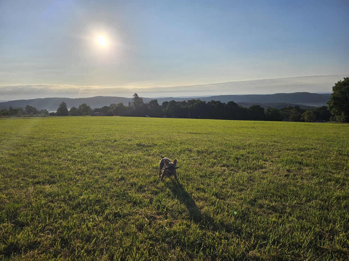 Sonnenaufgang auf der Tromm